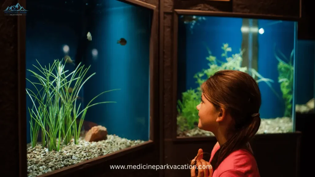 medicine park aquarium